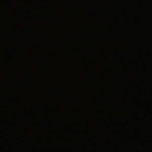 Meet your Posher, Shelley